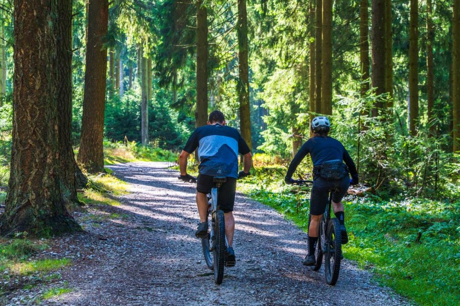 Wyprawy rowerowe po Polsce – pomysł na urlop z przygodą i pięknymi trasami